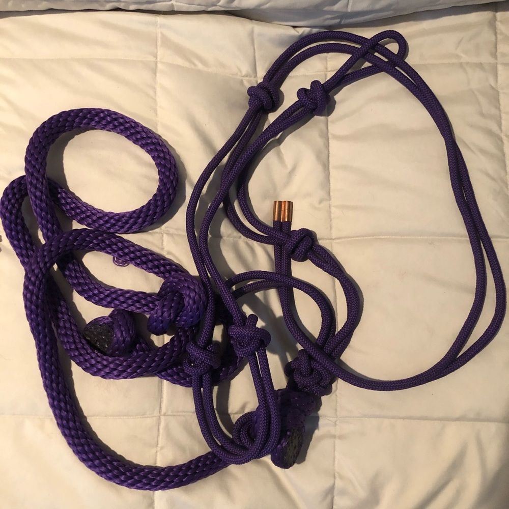 Purple rope halter. Attached matching lead